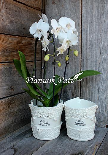 Vazonėlis gėlei ar medeliui