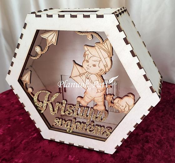 Taupyklė svajonėms pildyti