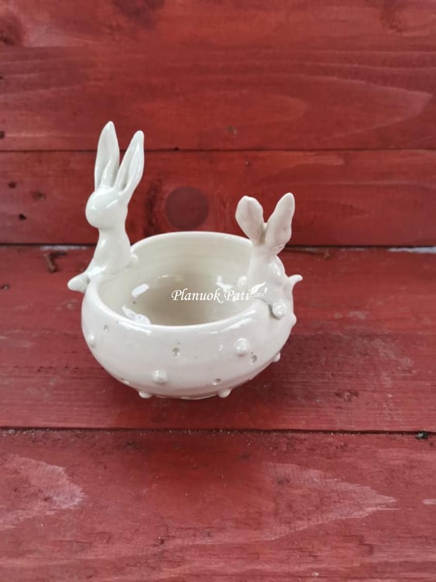 Dubenėlis - Kiškučiai