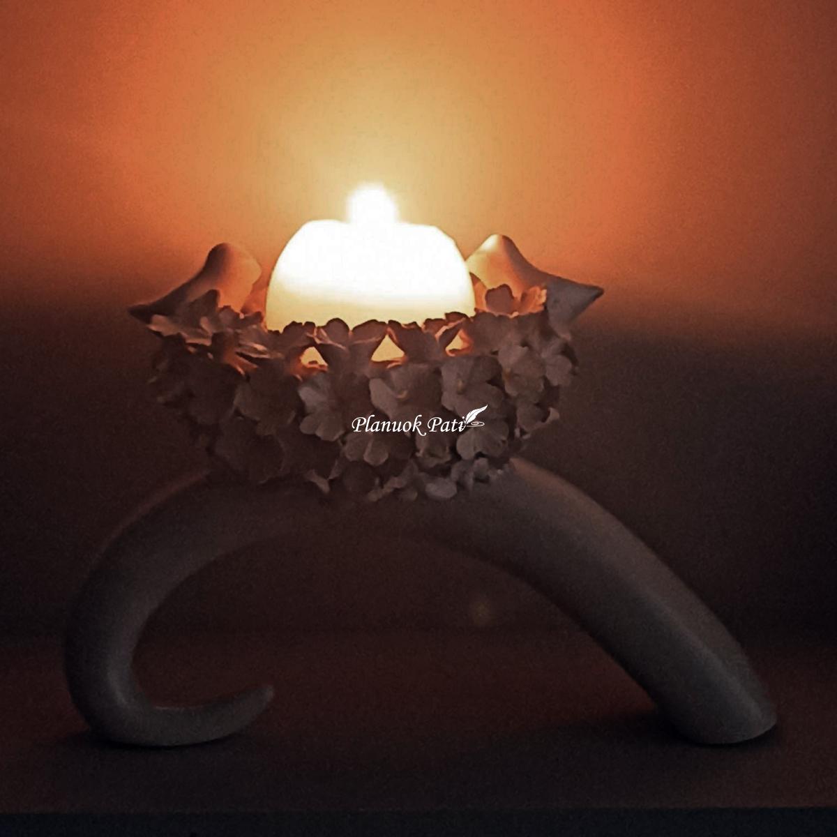 Šeimos židinys - Šeimos lizdelis