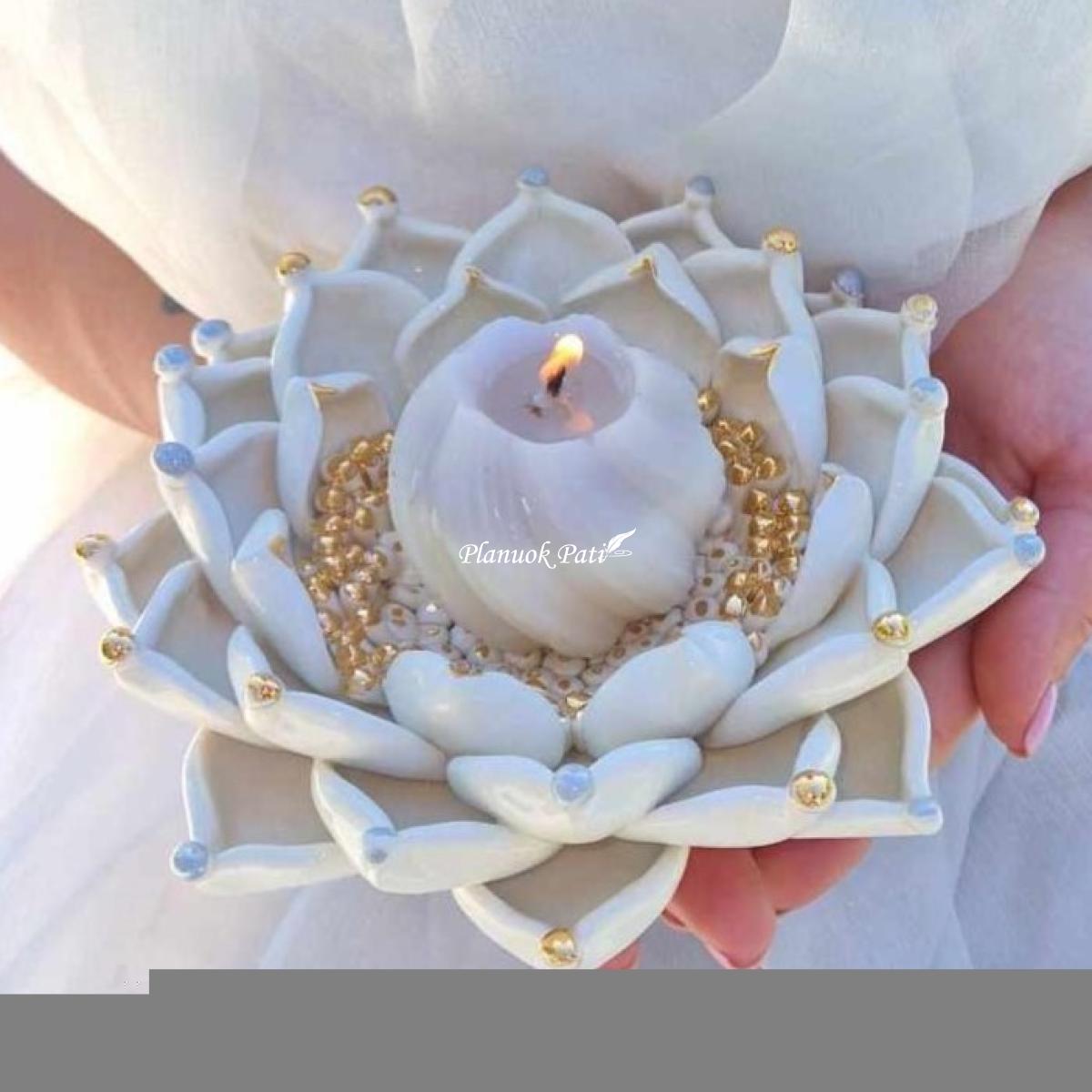 Šeimos židinys - Karališka lelija