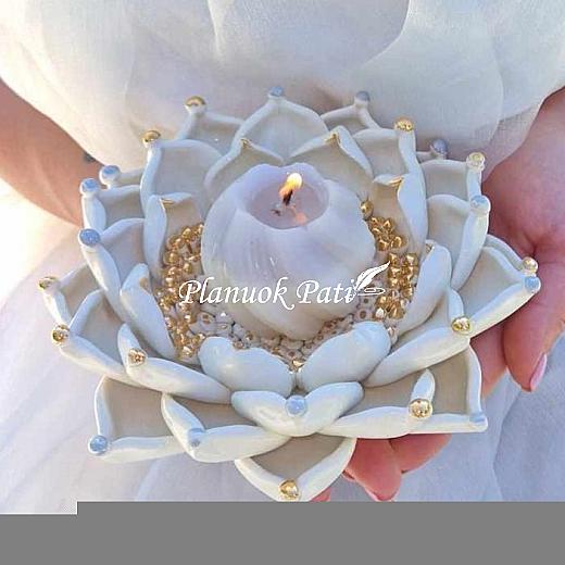 Šeimos židinys - Karališka lelija