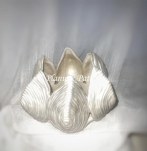 Šeimos židinys - Kriauklės