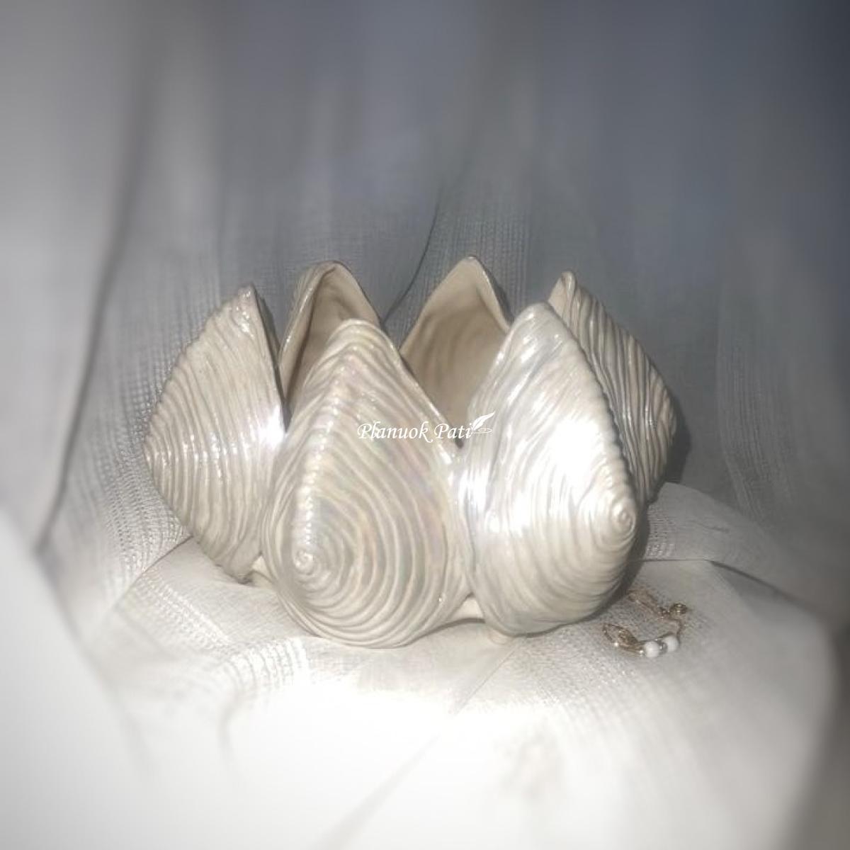 Šeimos židinys - Kriauklės