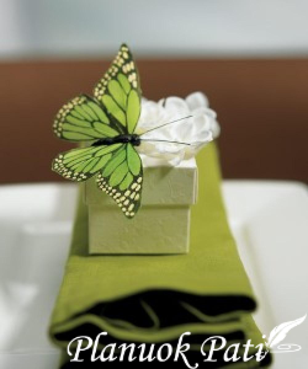 Drugeliai - dekoracija stalui, o gal net tema šventei