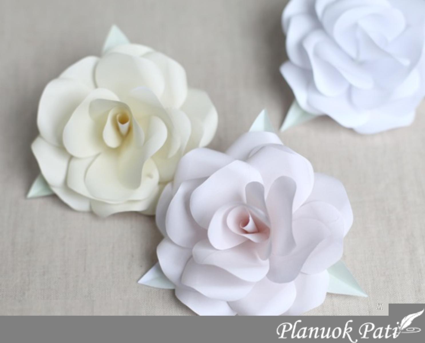 3D popierinės rožės