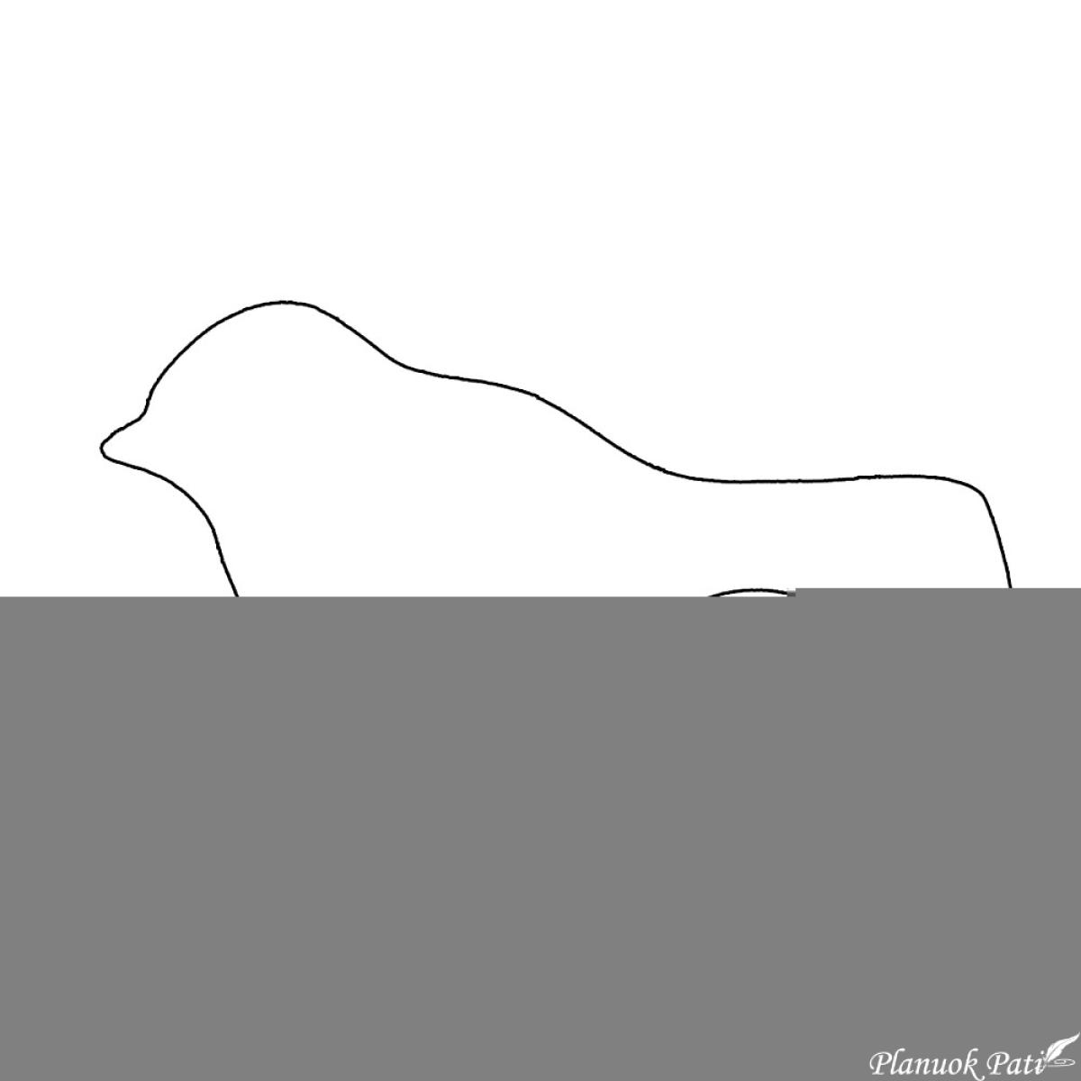 Sparnuotos krikštynos arba paukščiukų šventė