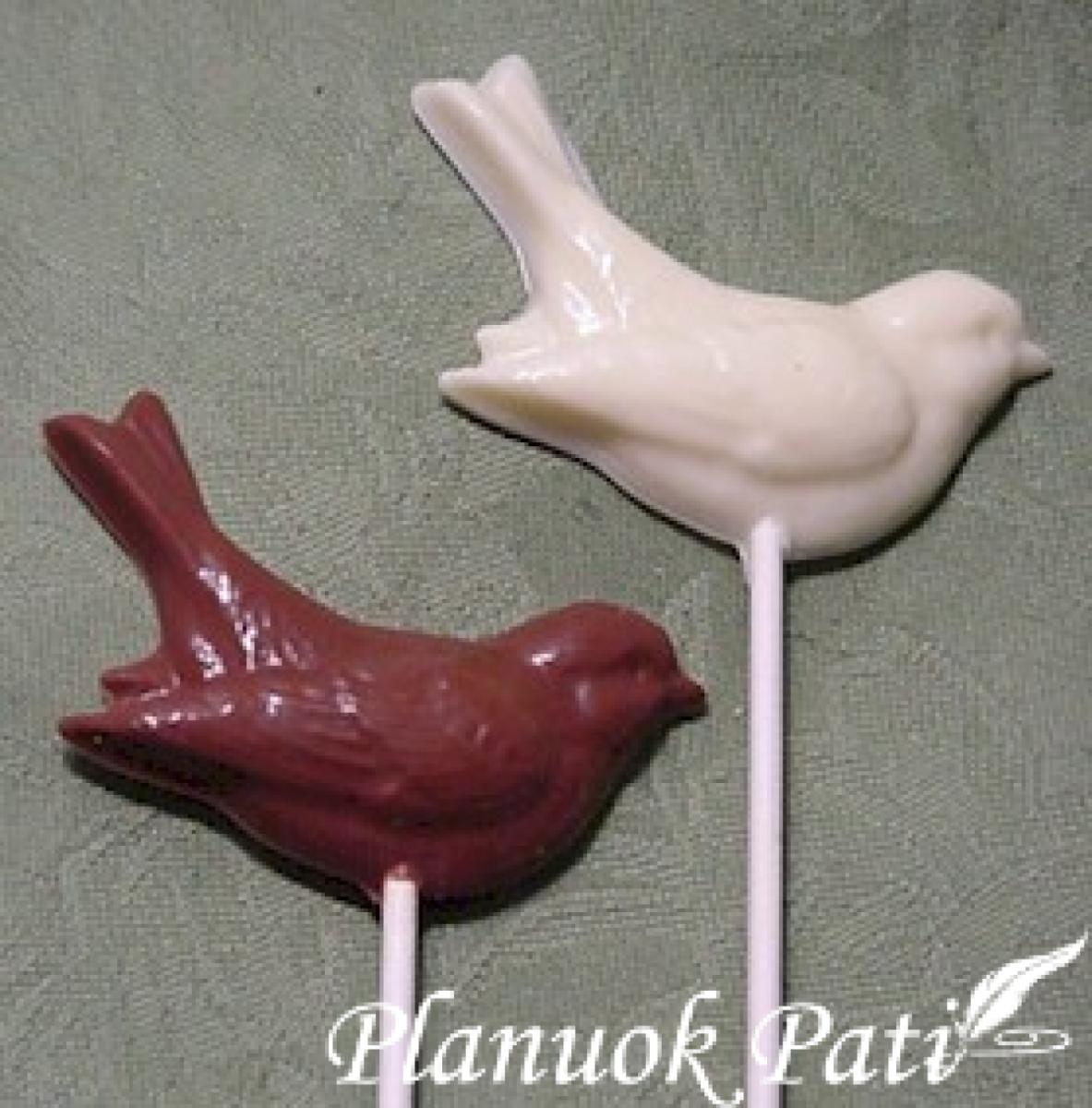 Sparnuotos krikštynos arba paukščiukų šventė