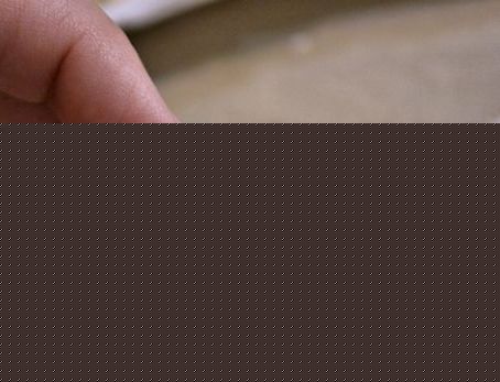 Gėlės iš pistacijų lukštų