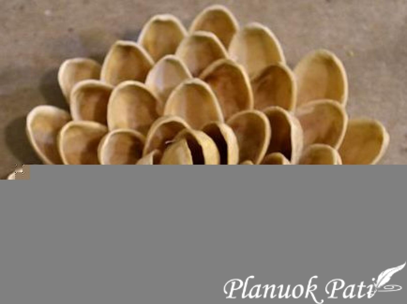 Gėlės iš pistacijų lukštų