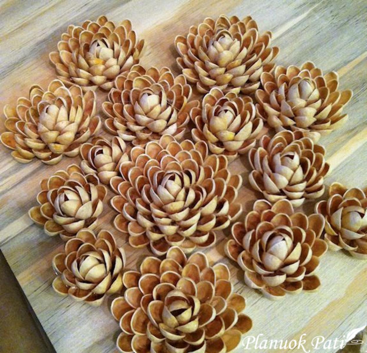 Gėlės iš pistacijų lukštų