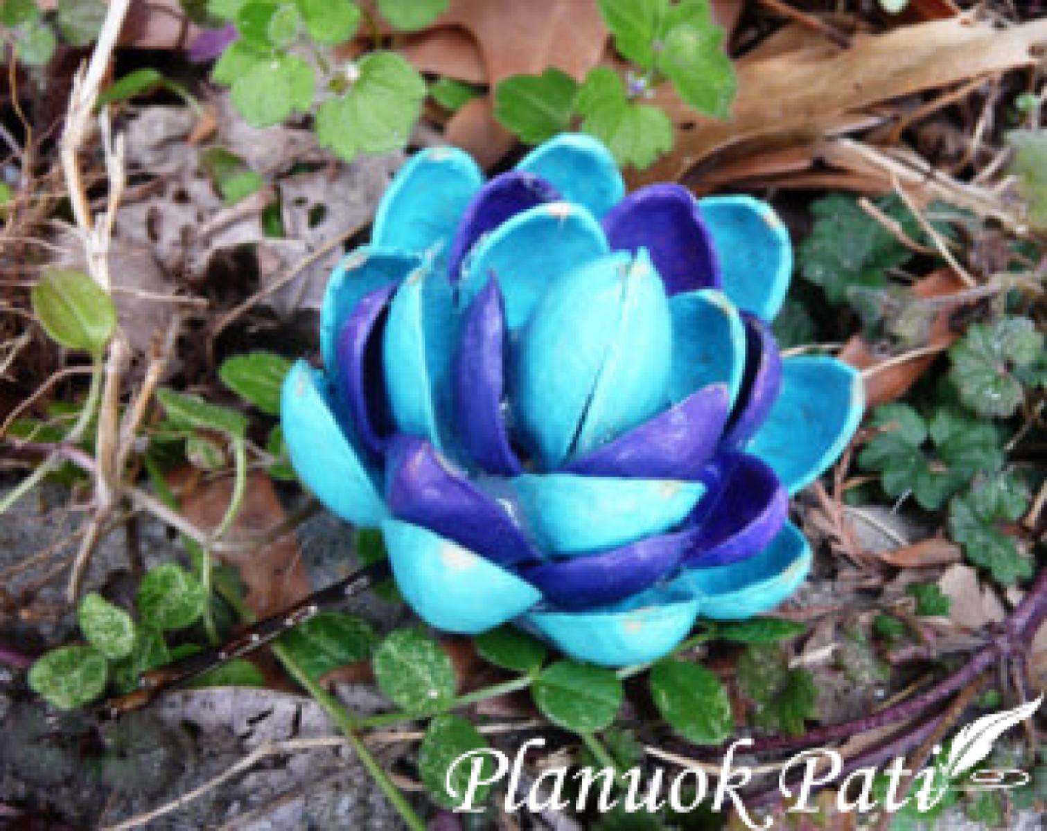 Gėlės iš pistacijų lukštų