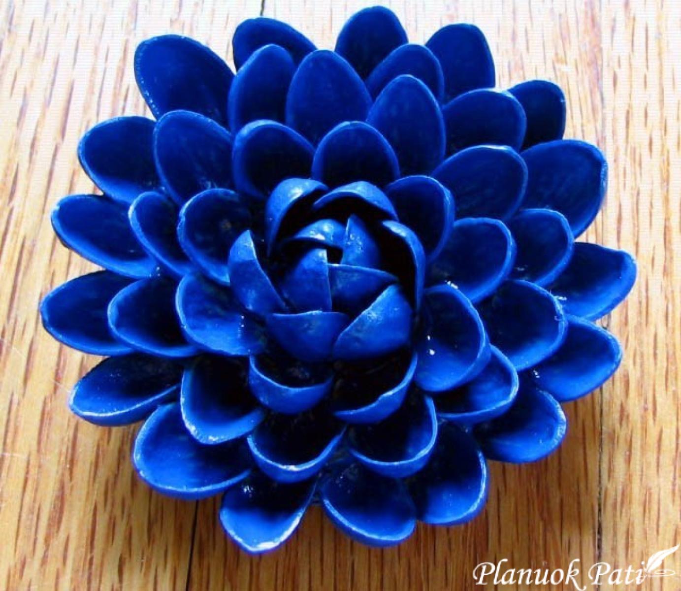 Gėlės iš pistacijų lukštų