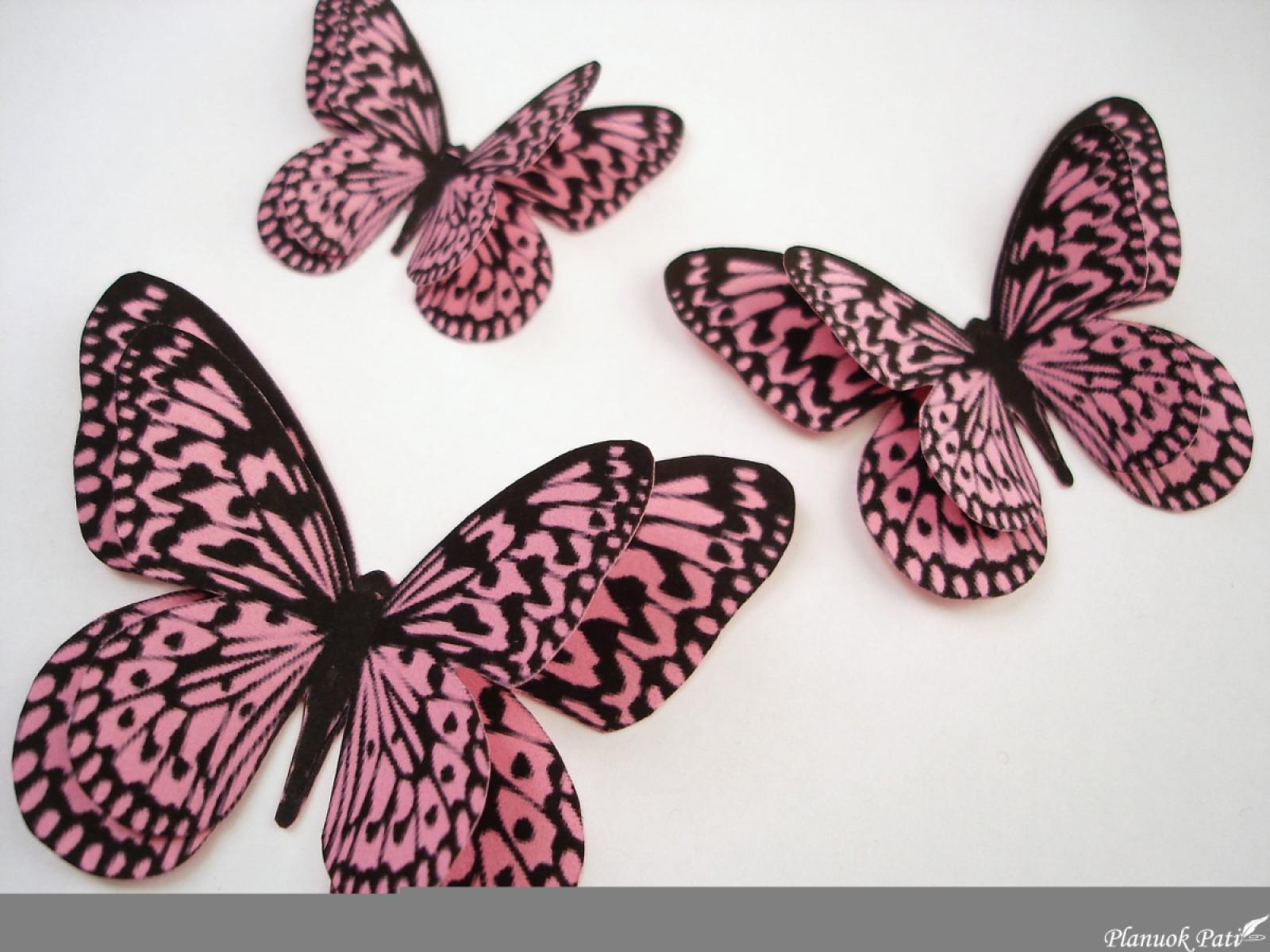 Diplomas, padarytas skrebinimo technika