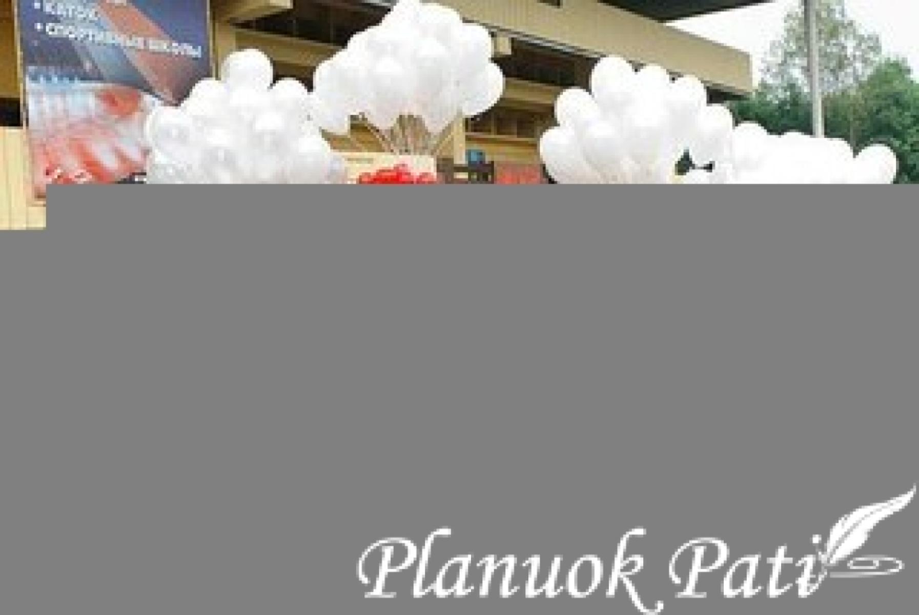 Idėjos vestuvinės fotosesijos dekoracijoms