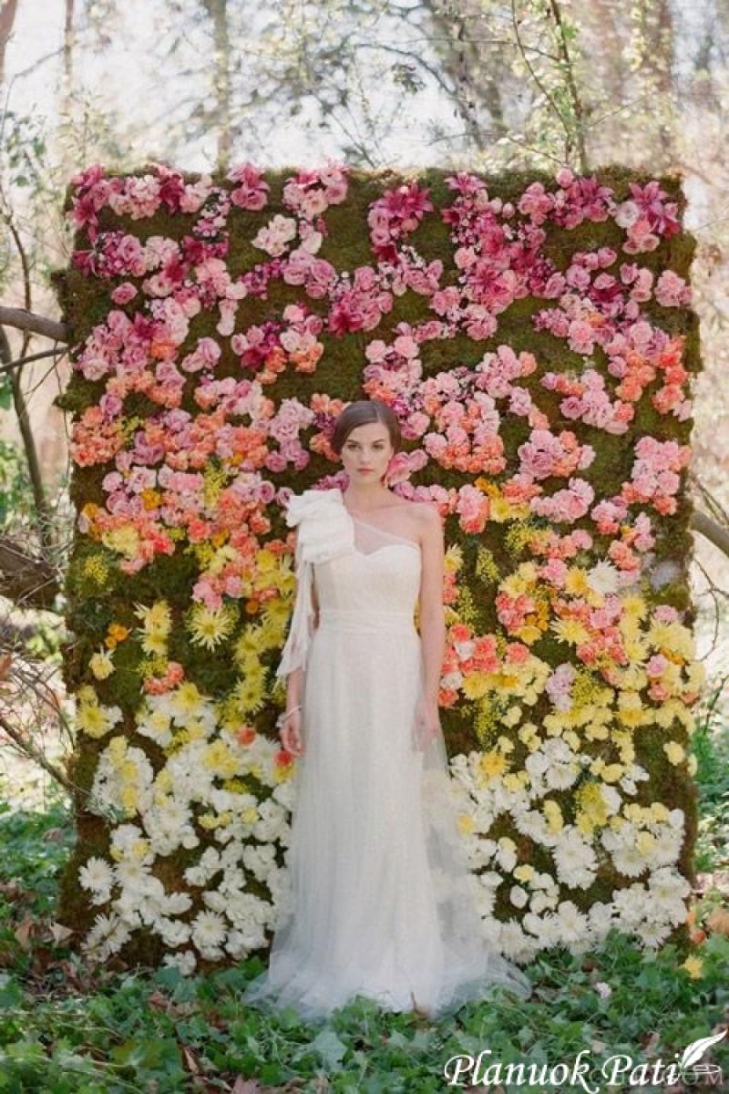 Idėjos vestuvinės fotosesijos dekoracijoms