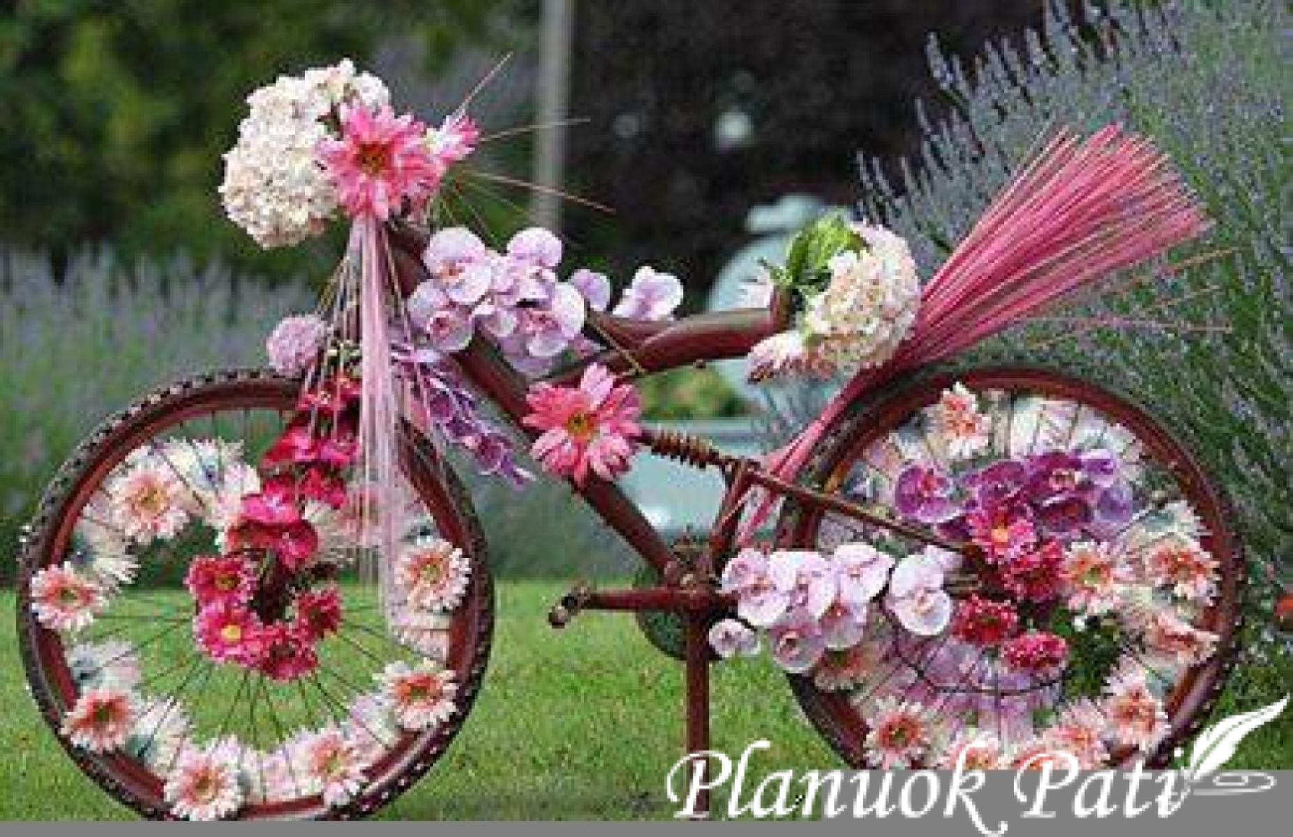 Idėjos vestuvinės fotosesijos dekoracijoms