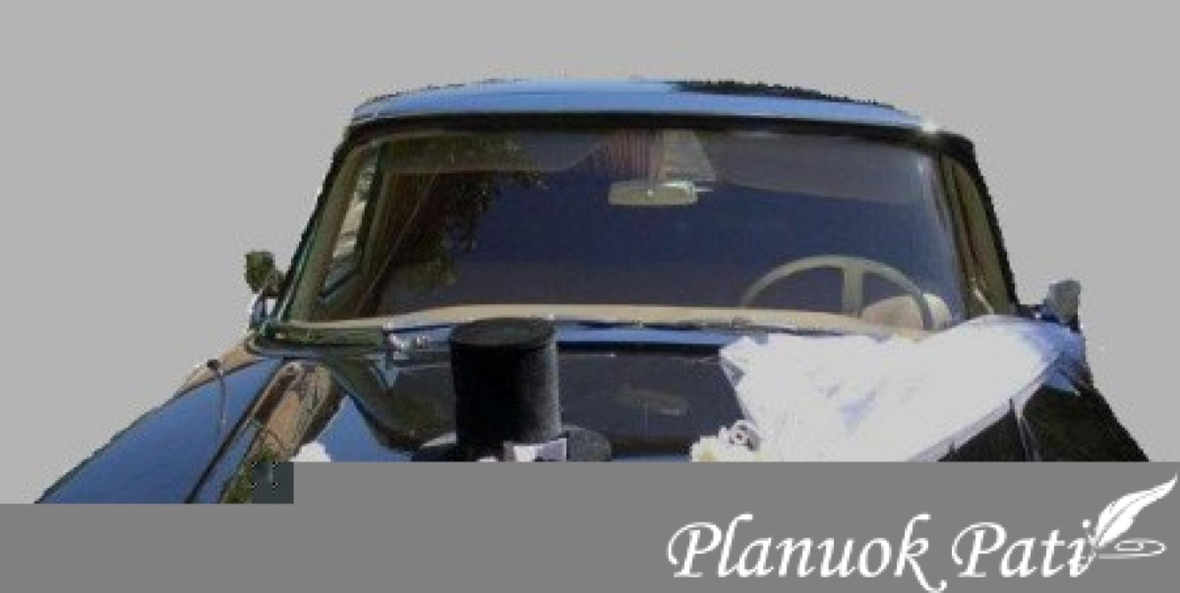 Idėjos kaip papuošti automobilius vestuvėms