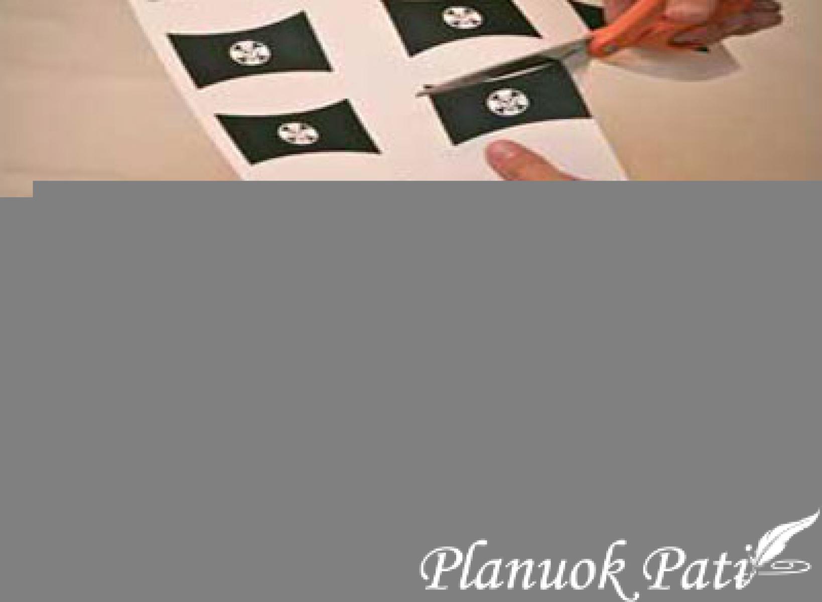 Žele piratų baliui