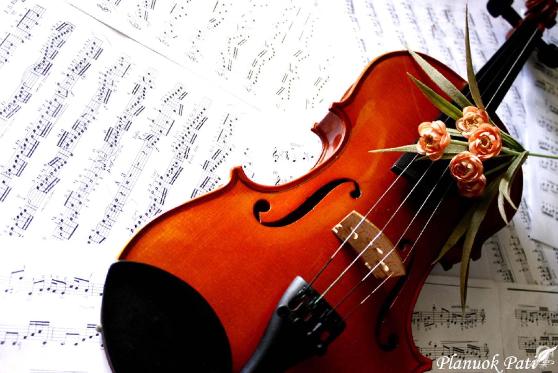 Dainų vestuviniam filmui sąrašas