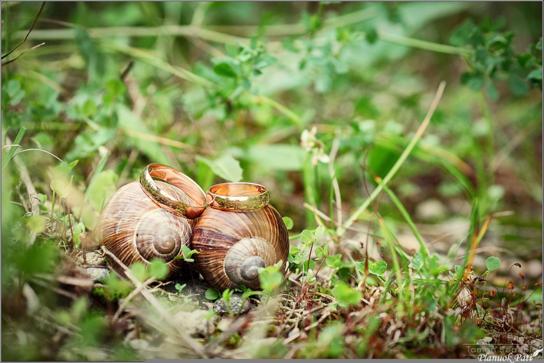 Vestuvės fotografo akimis: kaip išsirinkti fotografą, ką daryti, kad nuotraukos būtų gražios?