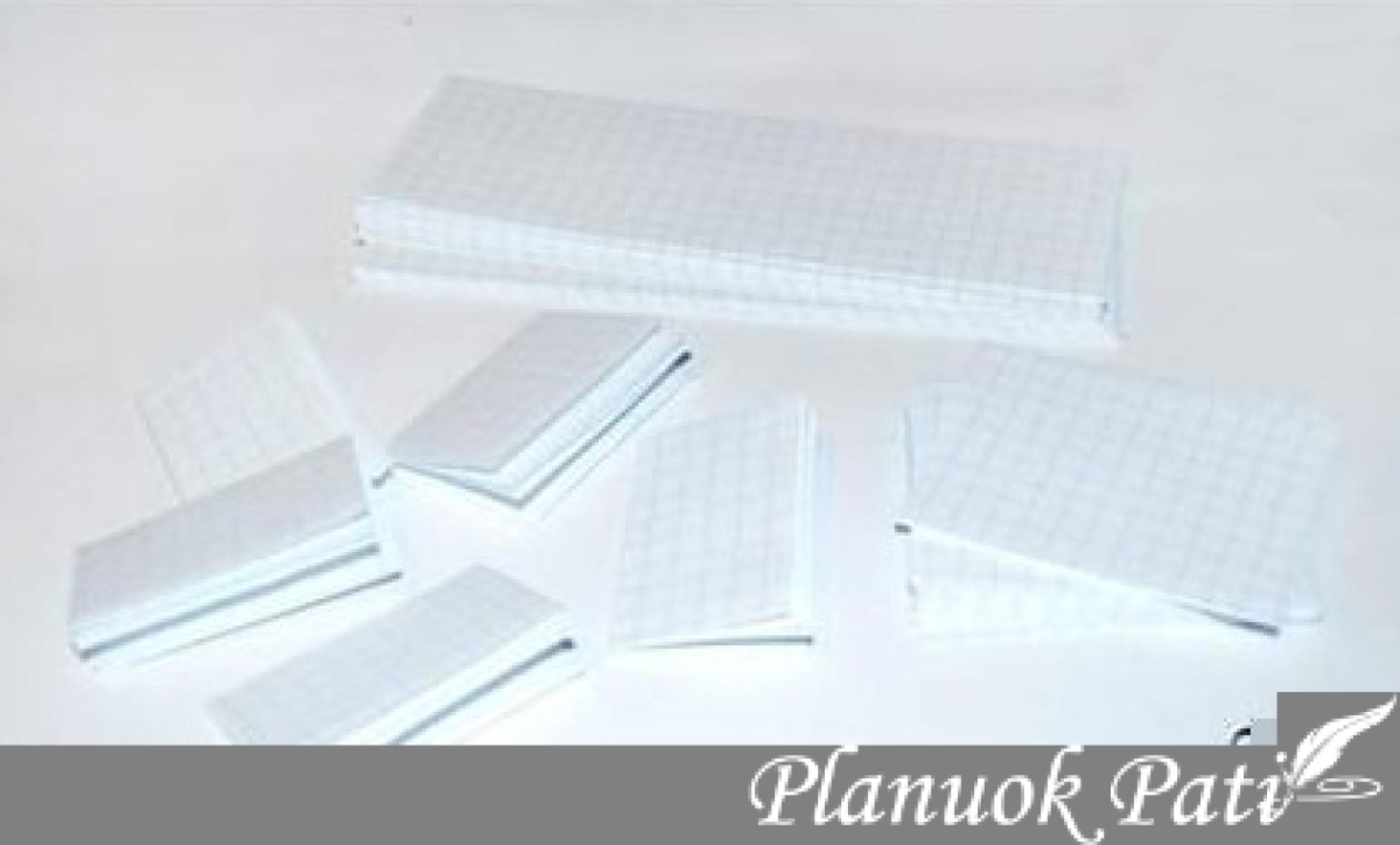 Mini užrašų knygutė