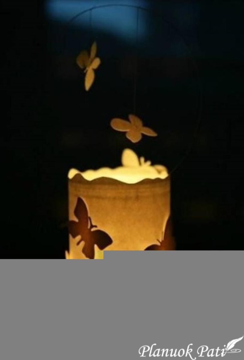 Žvakidė - drugeliai