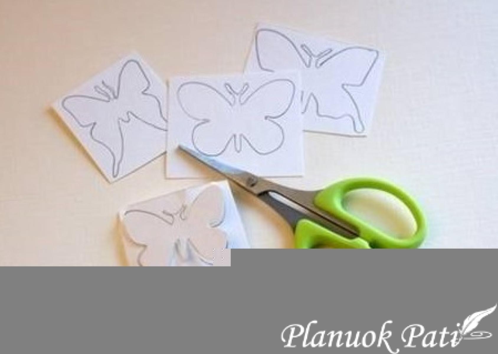 Žvakidė - drugeliai