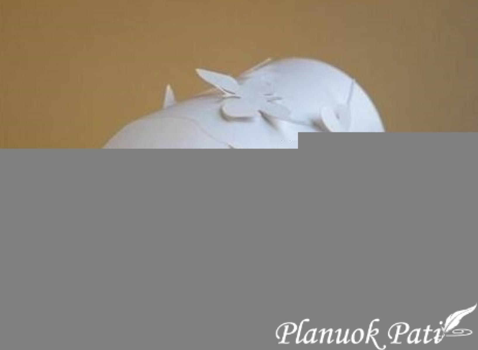 Žvakidė - drugeliai