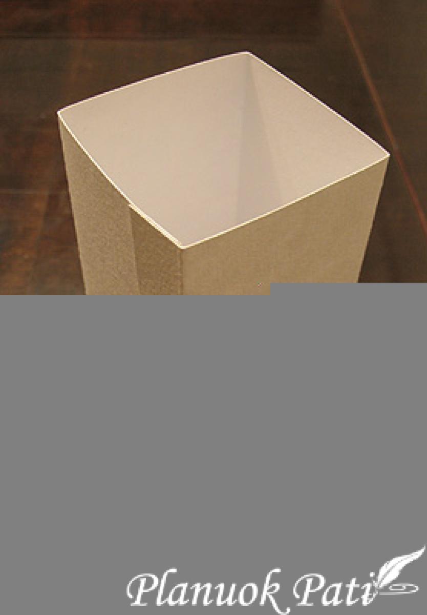 Vilnoniai ažūriniai gaubtai