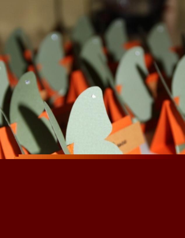 Stalo kortelės - drugeliai