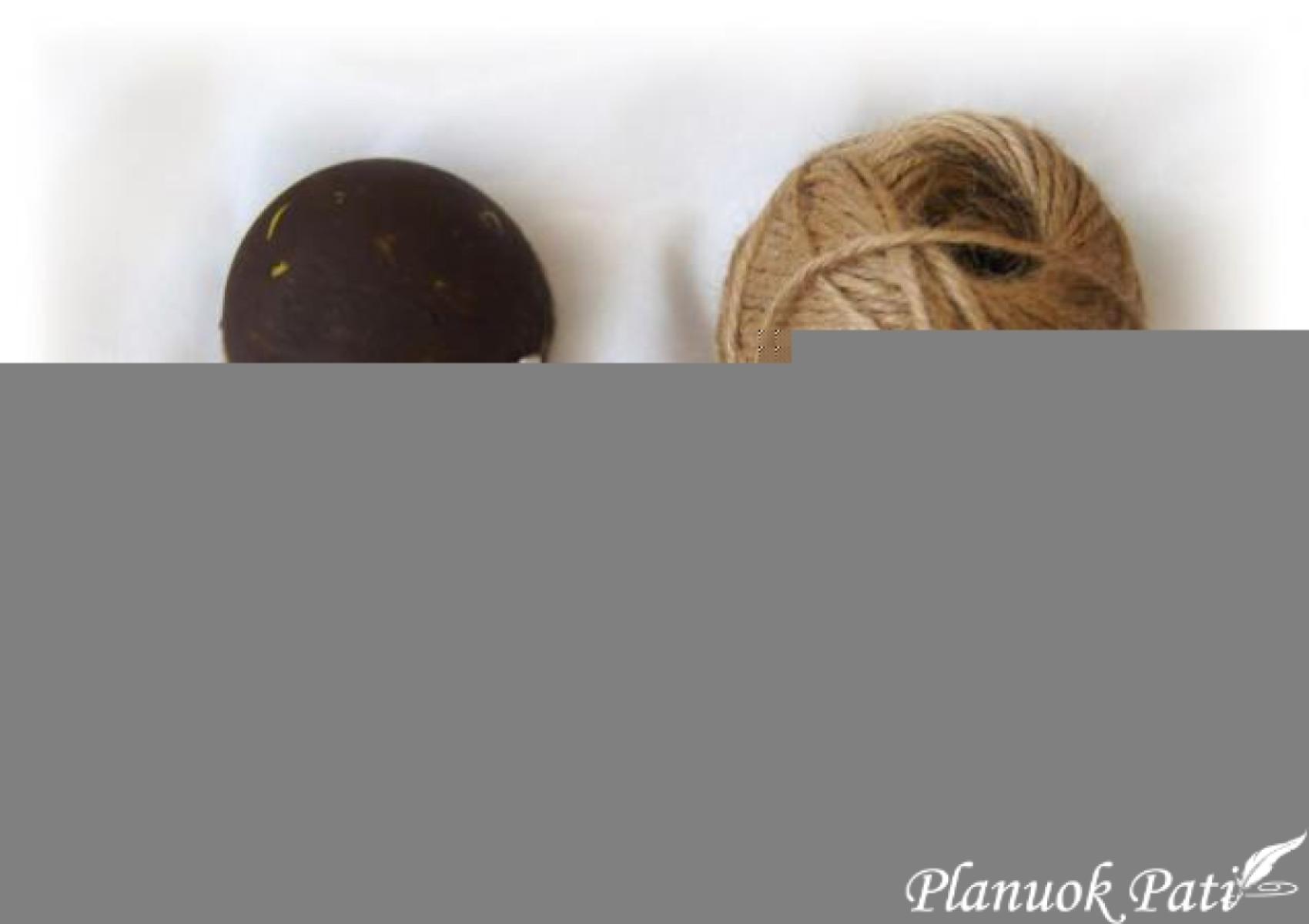 Ežiukai iš kavos pupelių