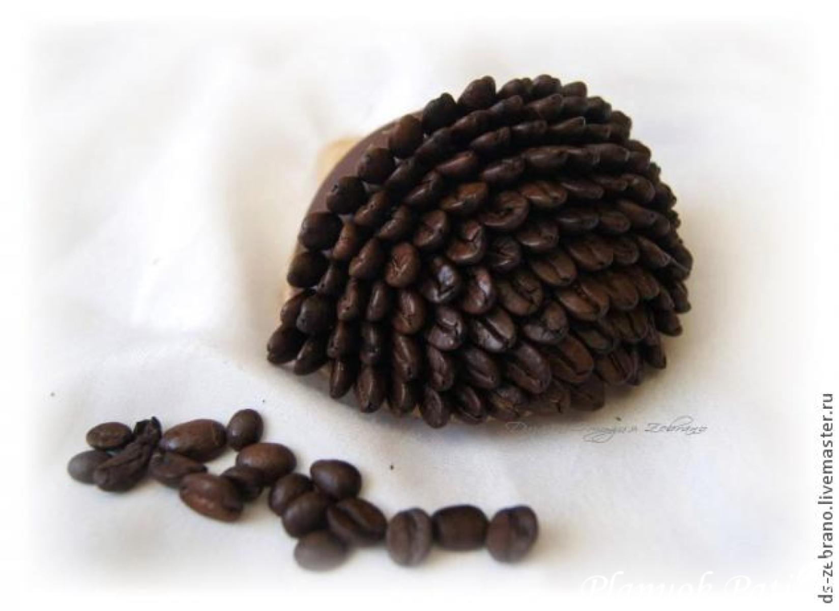 Ežiukai iš kavos pupelių