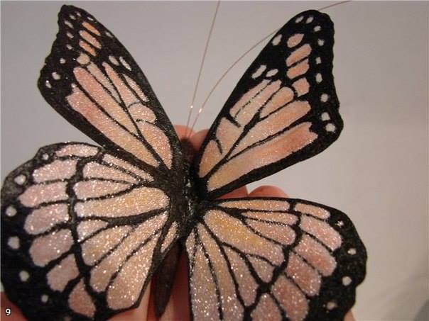 Drugelis iš organzos