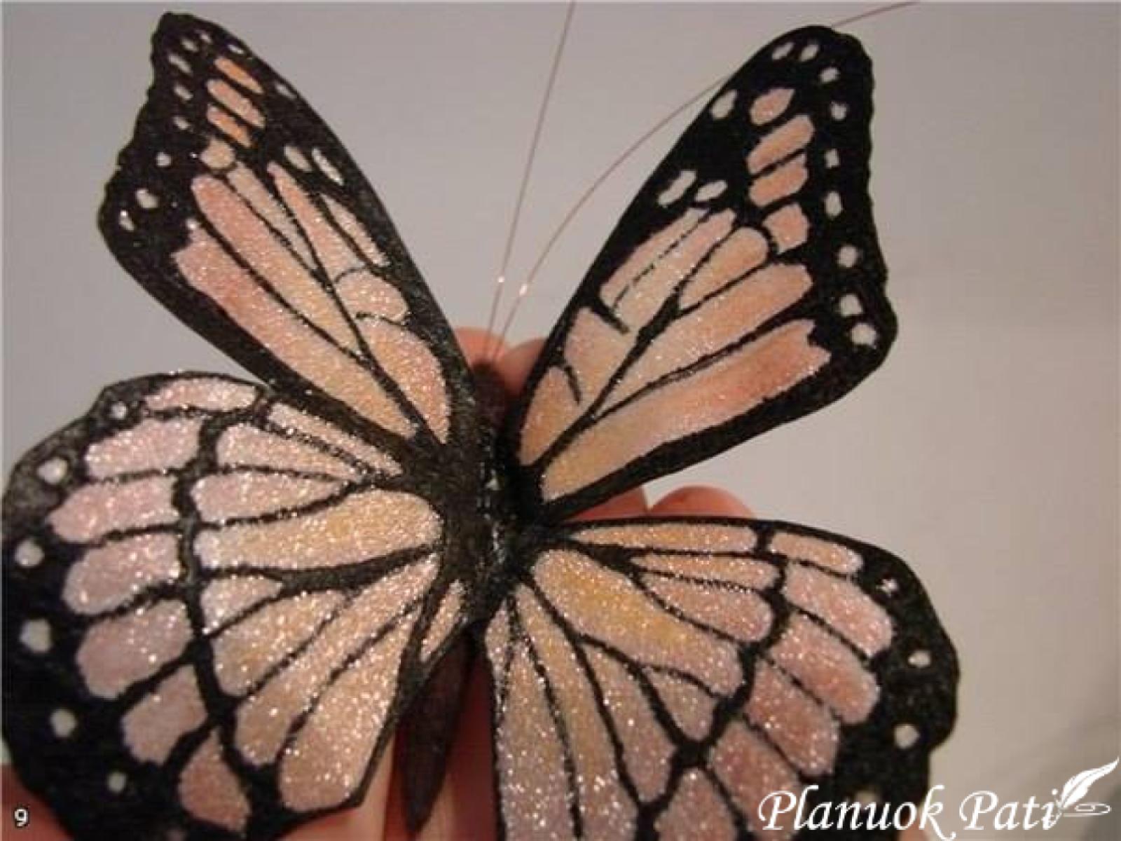 Drugelis iš organzos