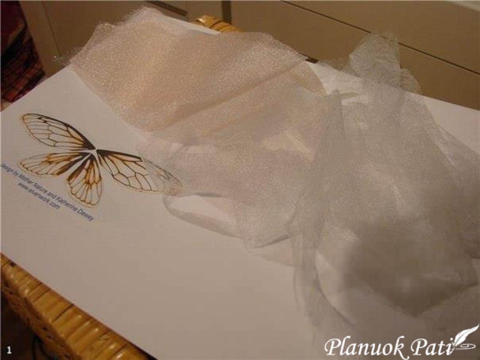 Drugelis iš organzos