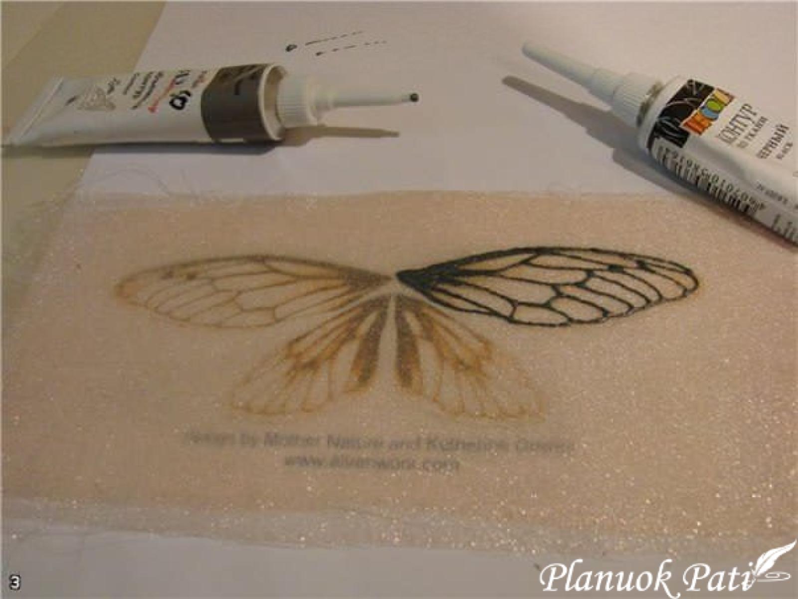 Drugelis iš organzos