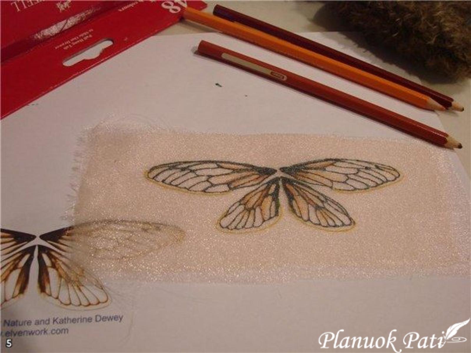 Drugelis iš organzos