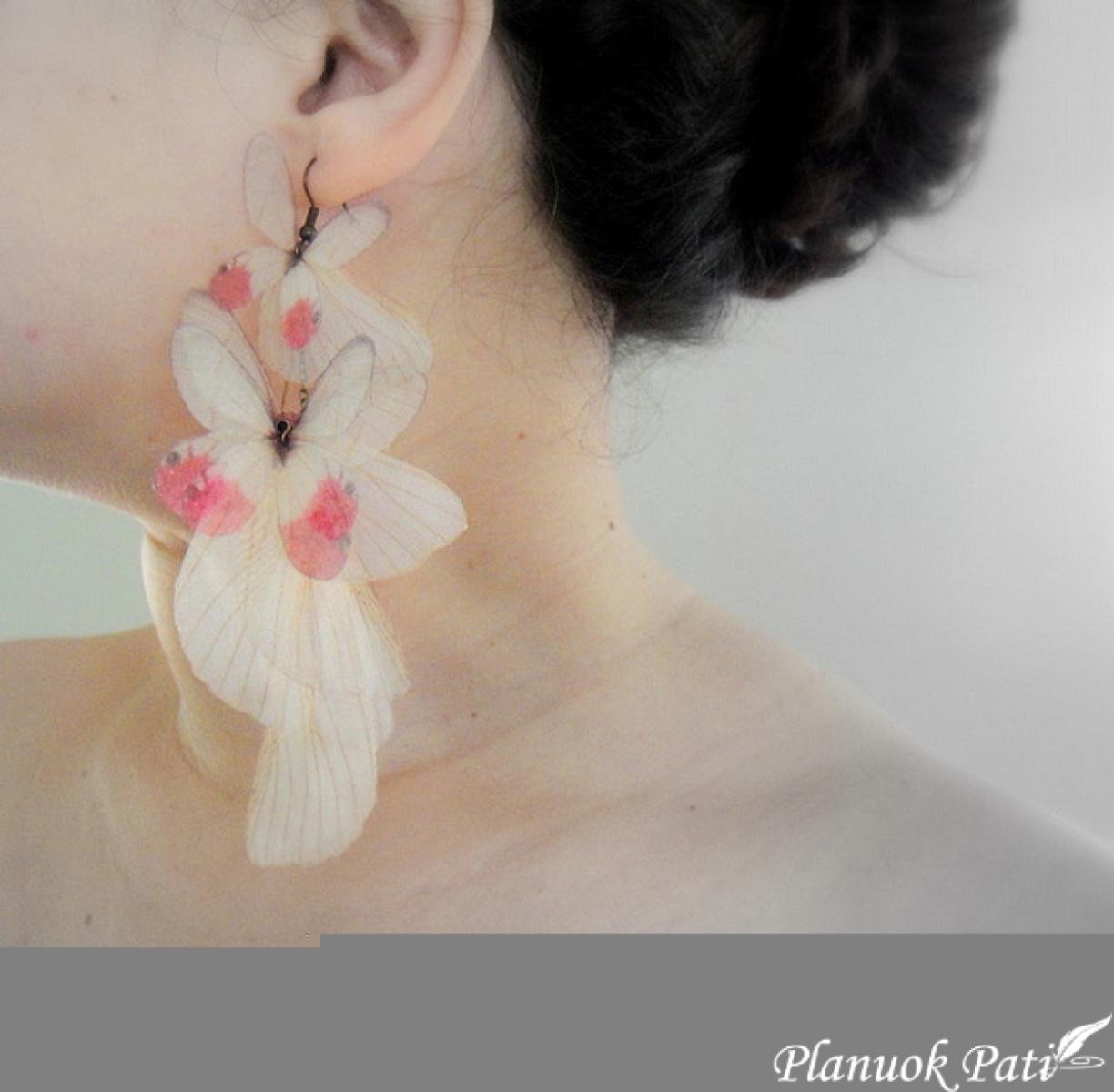 Drugelis iš organzos