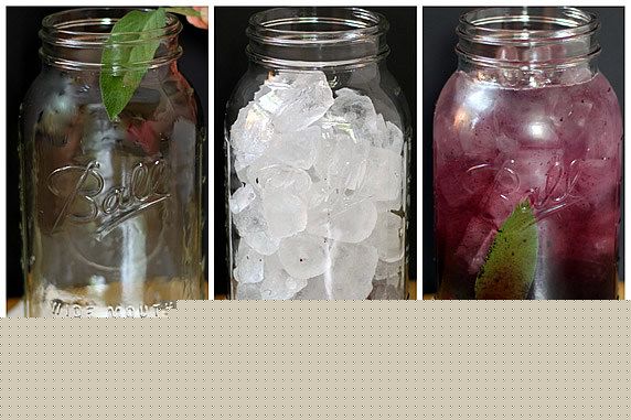 Mėlynių ir šalavijo gaiva