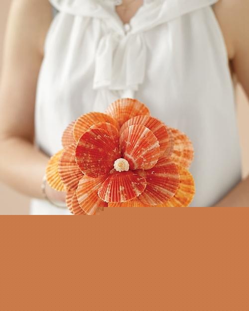 Kriauklės gėlių puokštei bei taurėms dekoruoti