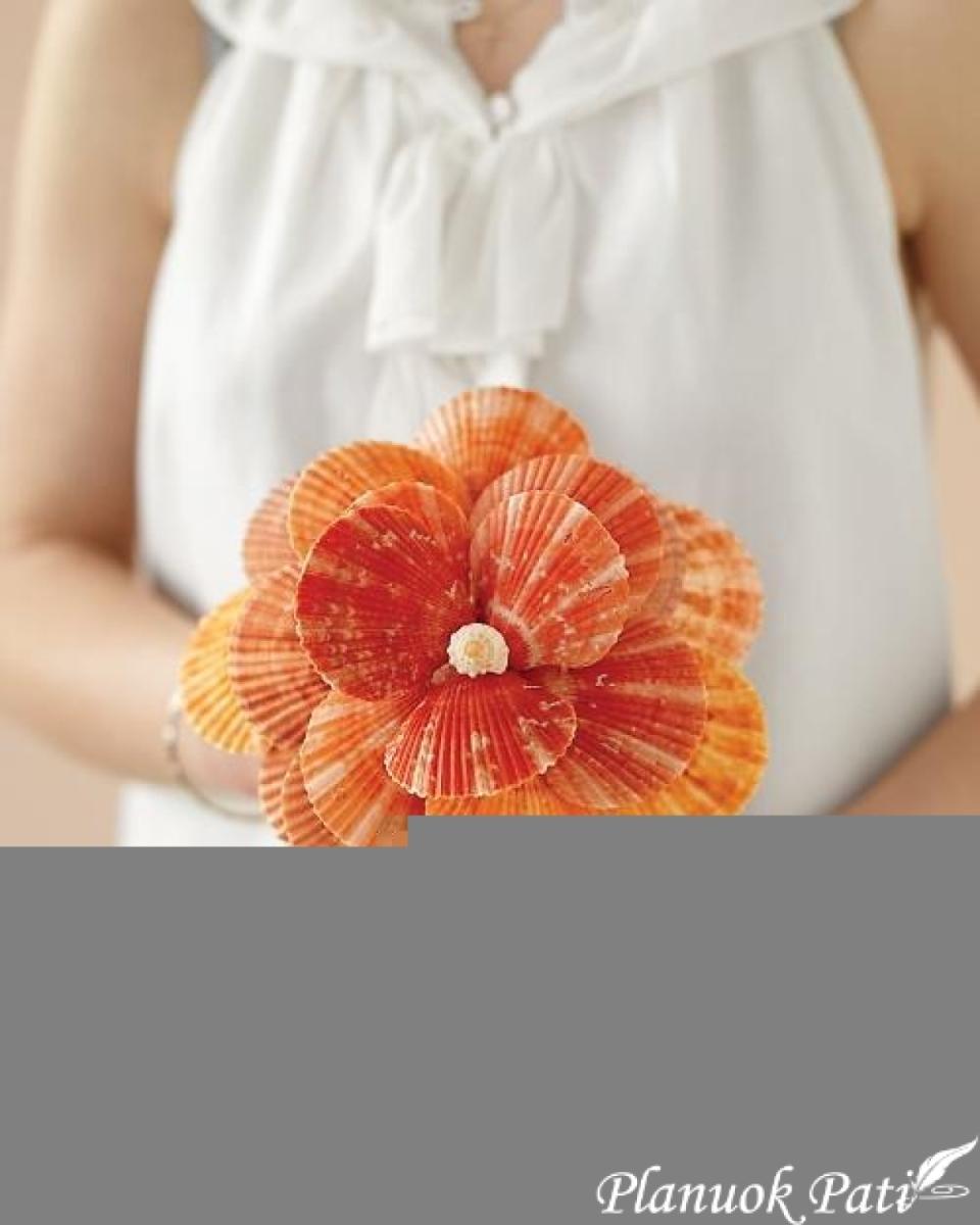 Kriauklės gėlių puokštei bei taurėms dekoruoti