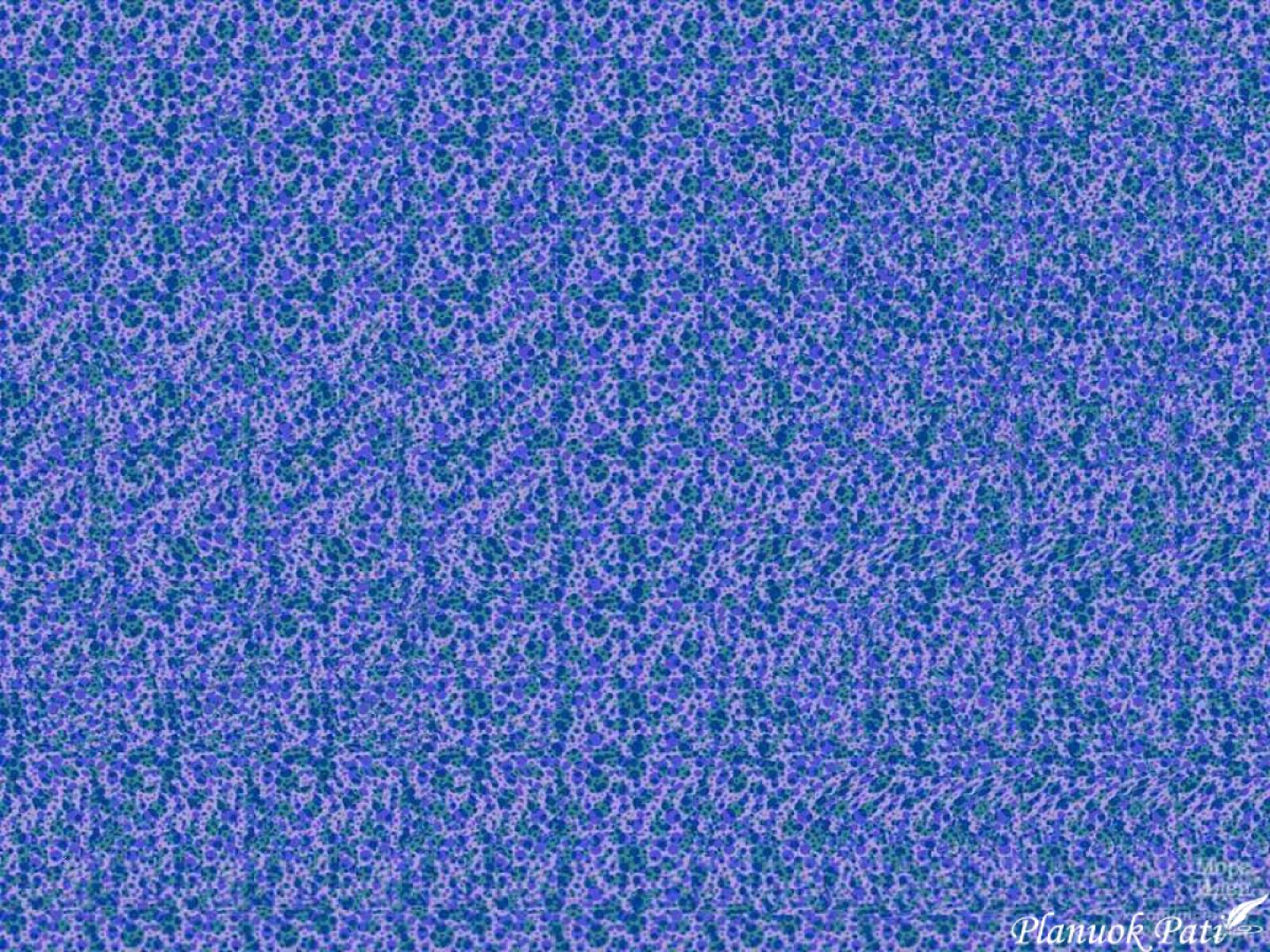 Ar skarbus tavo žvilgsnis