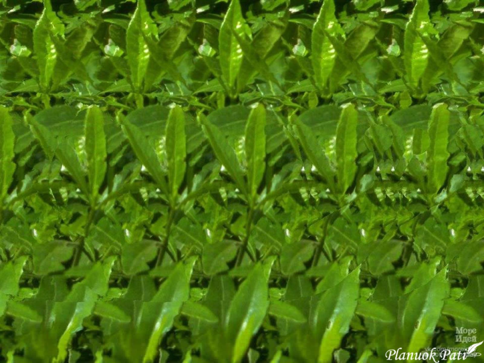 Ar skarbus tavo žvilgsnis