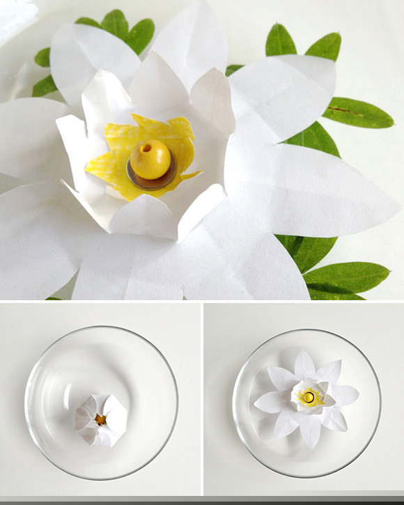 Lelija princesės išbandymui