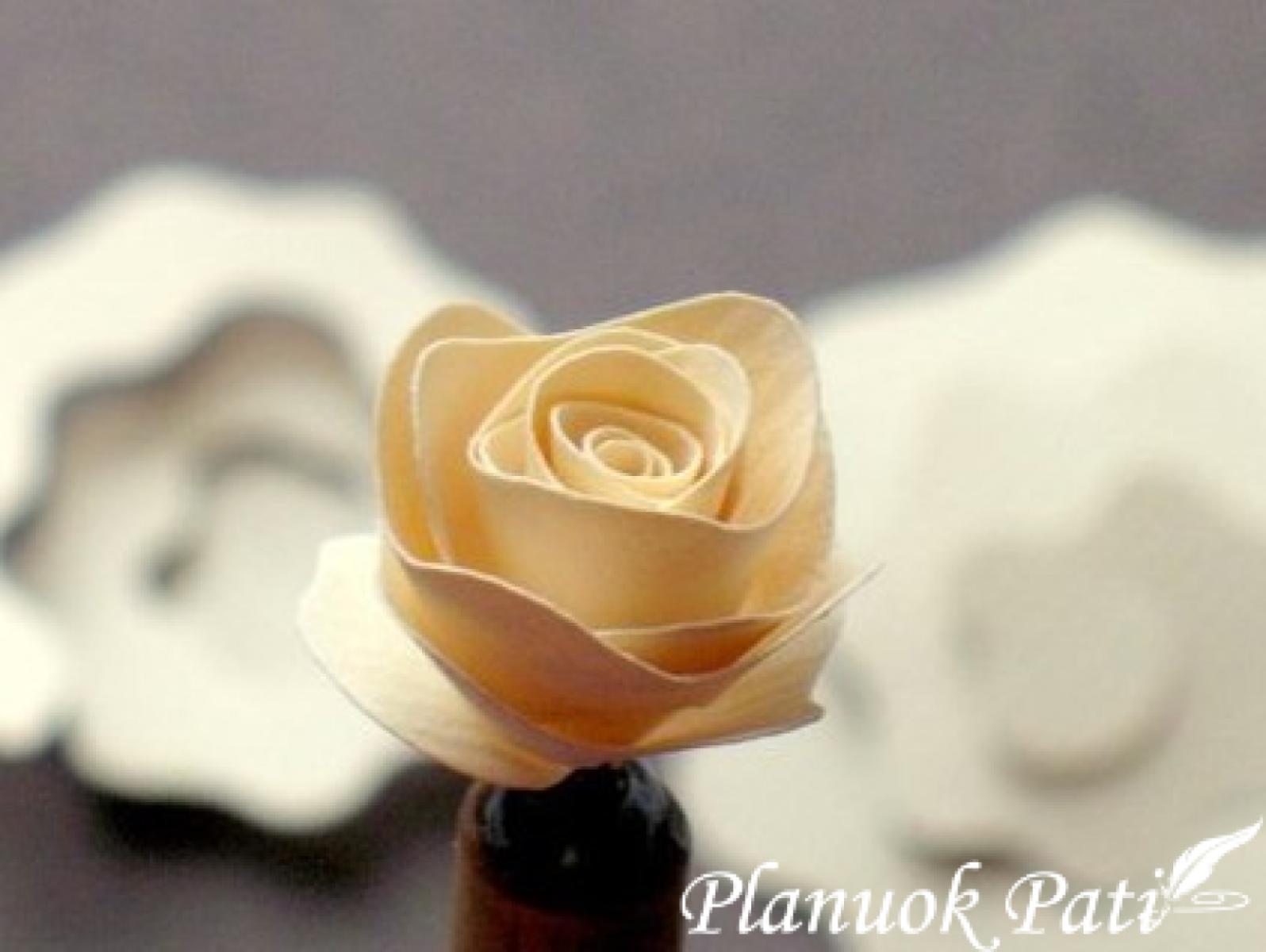 Rožytės iš spiralės