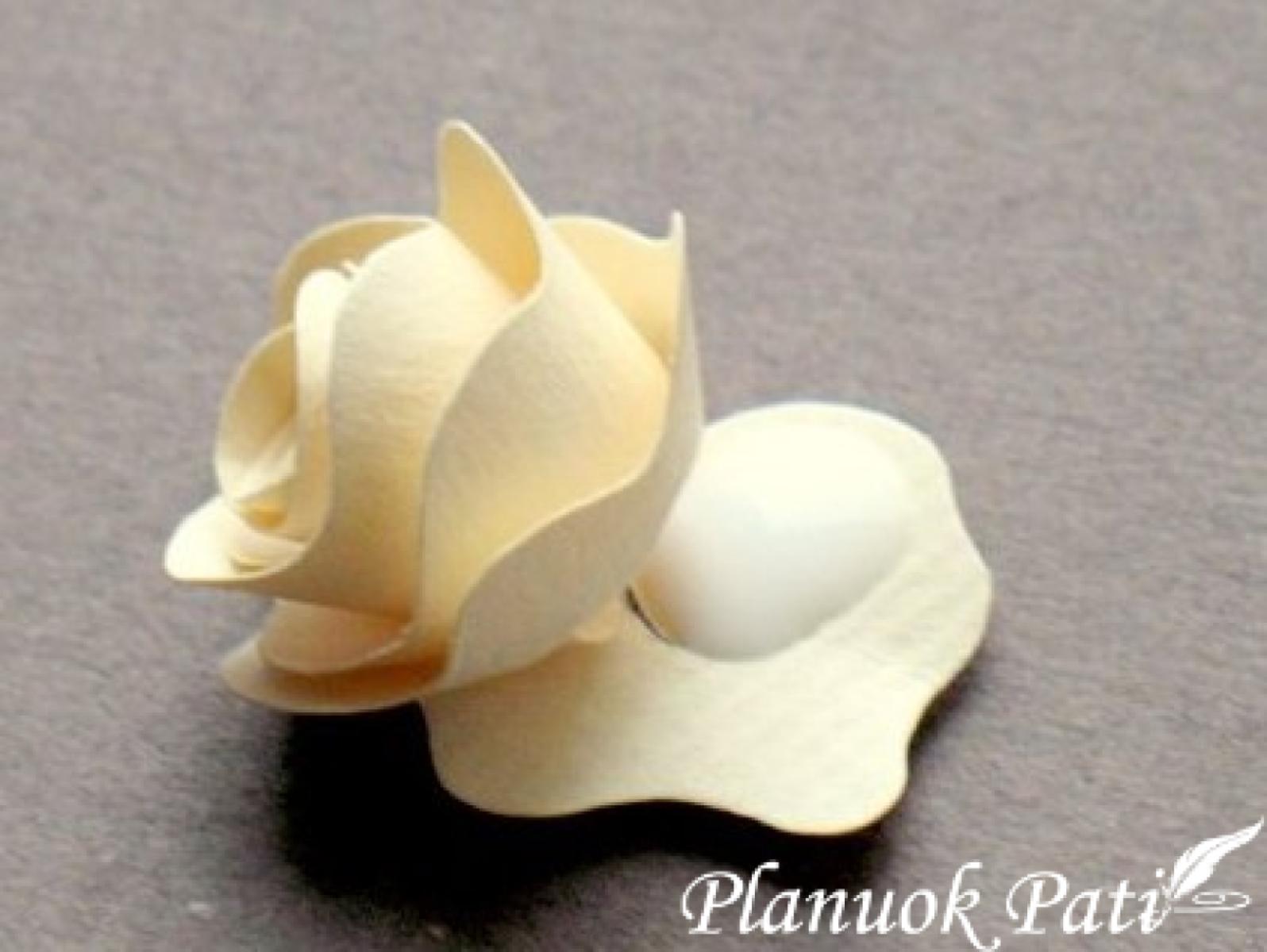 Rožytės iš spiralės