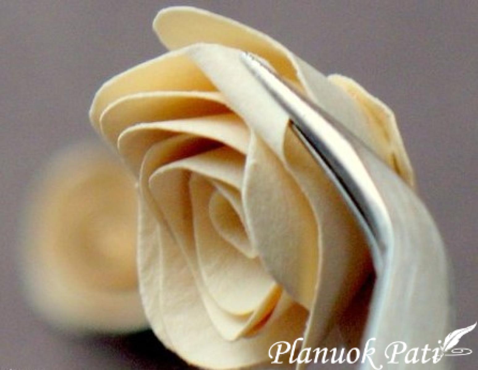 Rožytės iš spiralės