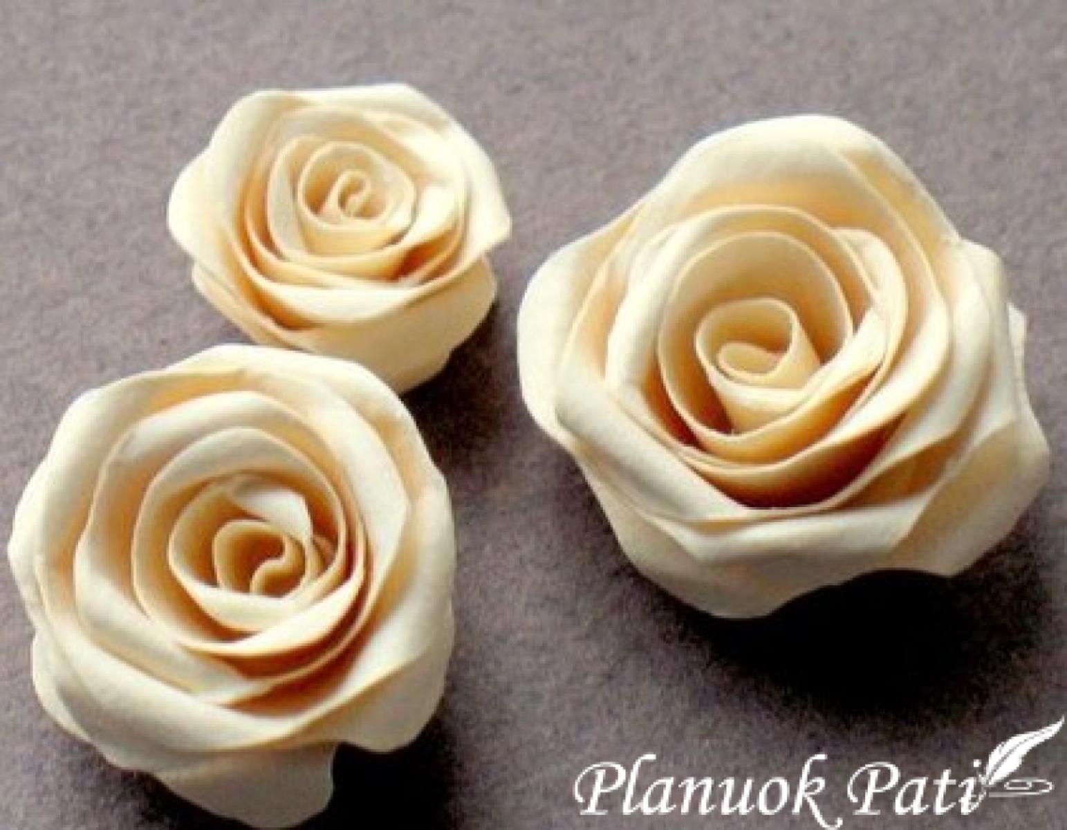 Rožytės iš spiralės