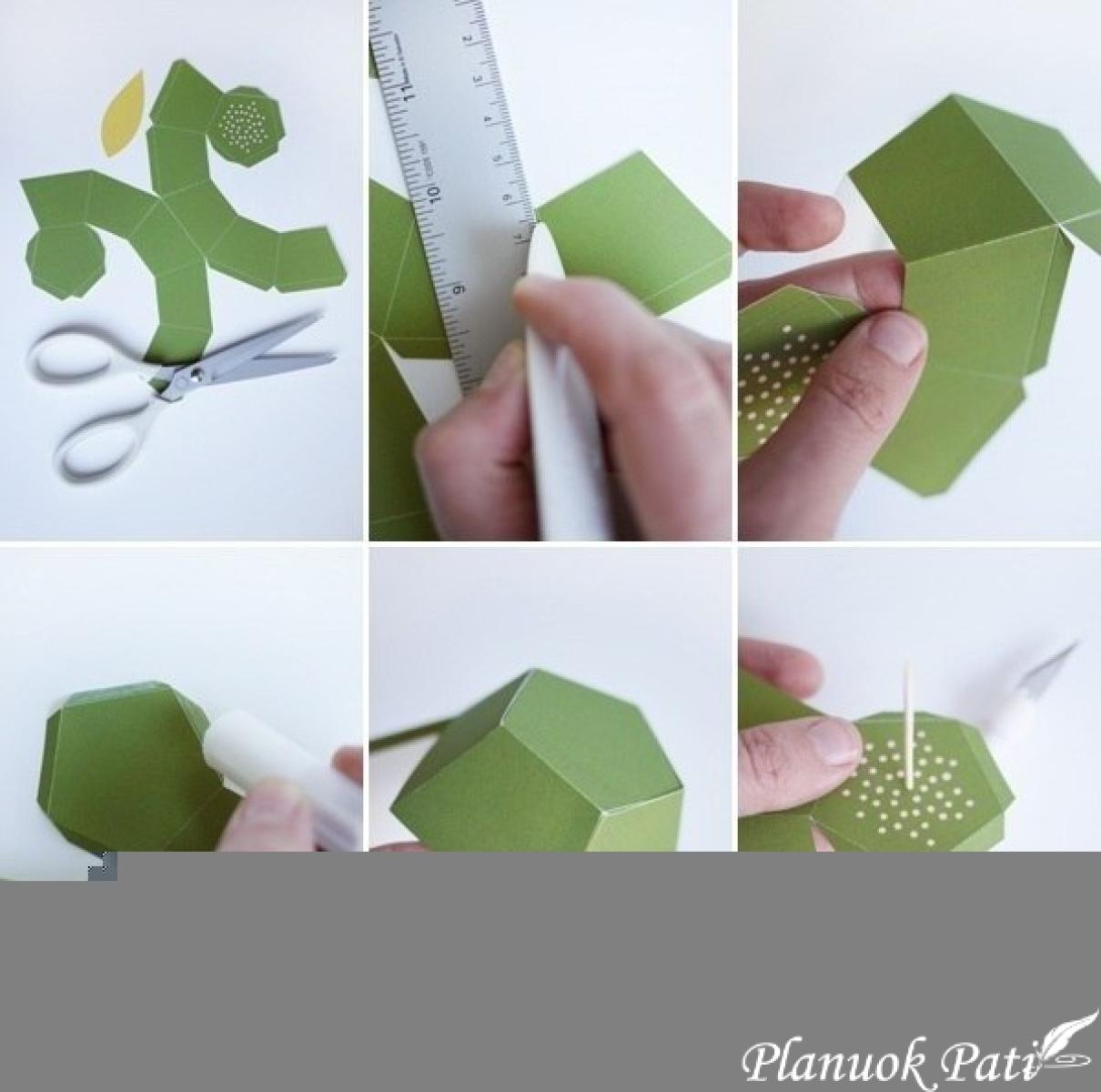 Dėžutė obuoliukas